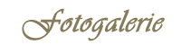 Fotogalerie
